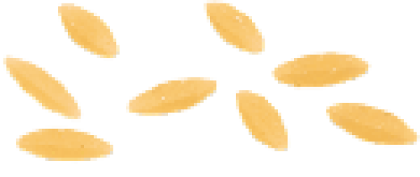 Risone Farabella glutenfrei